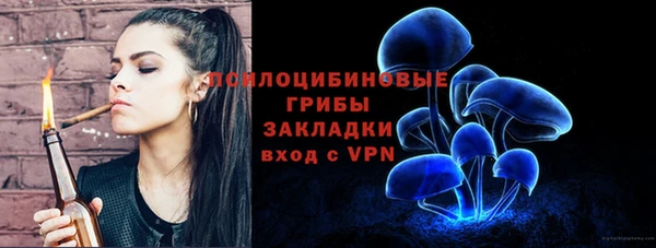мяу мяу мука Абдулино