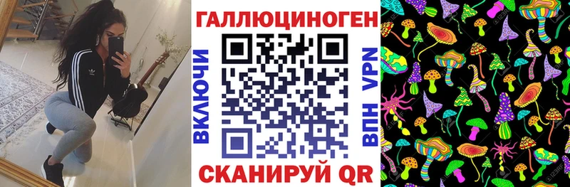Галлюциногенные грибы GOLDEN TEACHER  магазин продажи   Рославль 