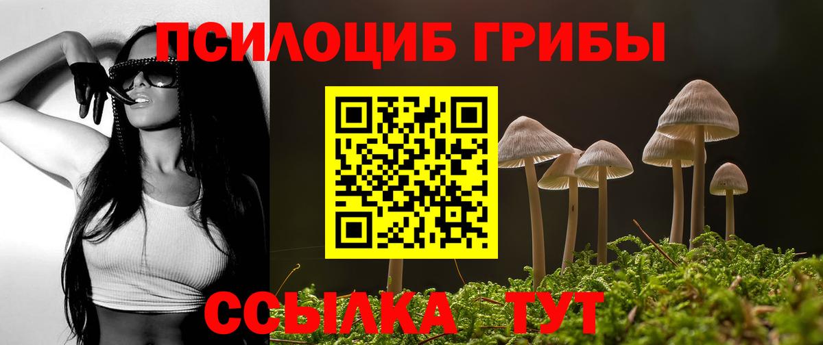 Галлюциногенные грибы Psilocybine cubensis Рославль